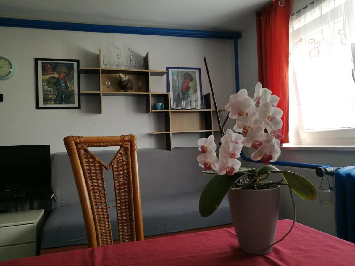 A+R Pension Plzeň Esterno foto